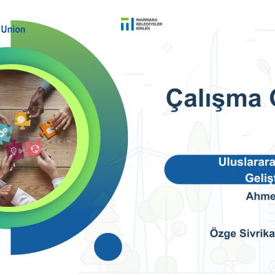 International Cooperation, Project Development and Finance Working Group WG2 (ICPDF-WG) Meeting