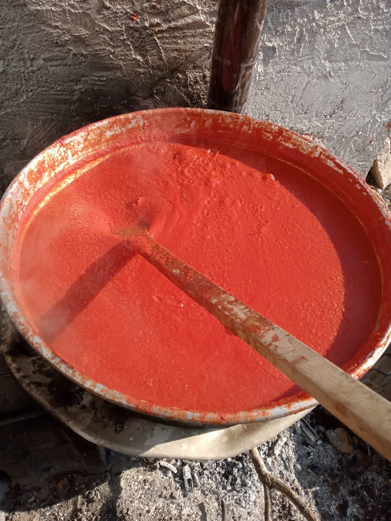 WhatsApp Image 2025-05-16 at 15.33.22 (1).jpeg