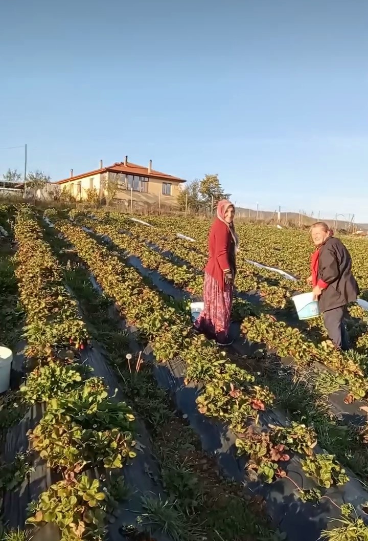 WhatsApp Image 2025-05-16 at 15.33.23.jpeg