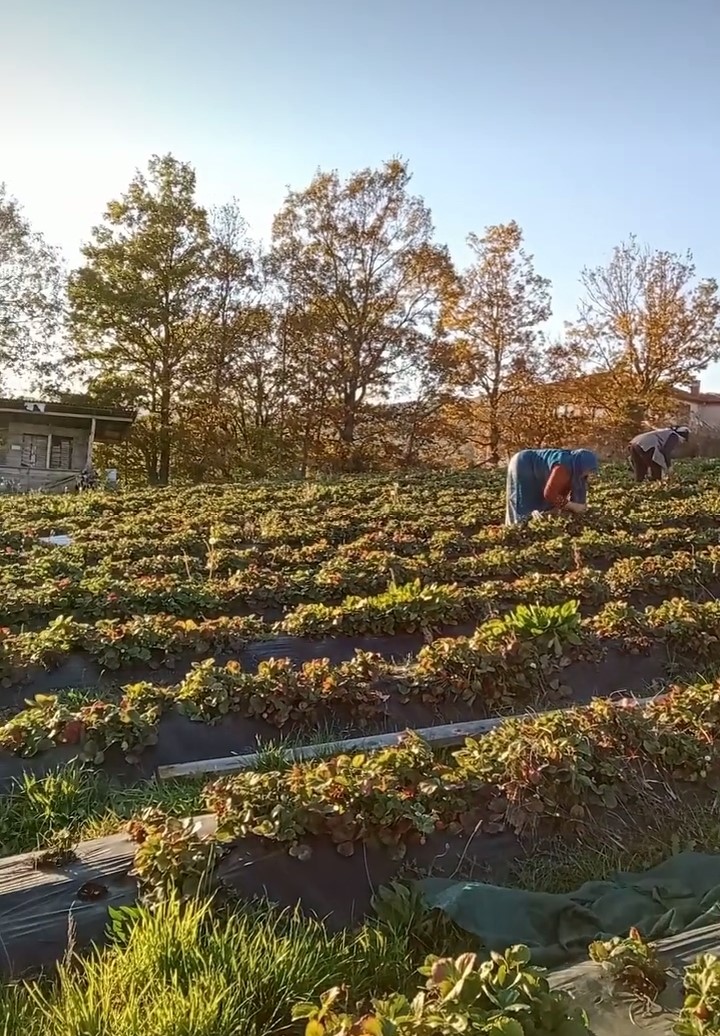 WhatsApp Image 2025-05-16 at 15.33.25.jpeg