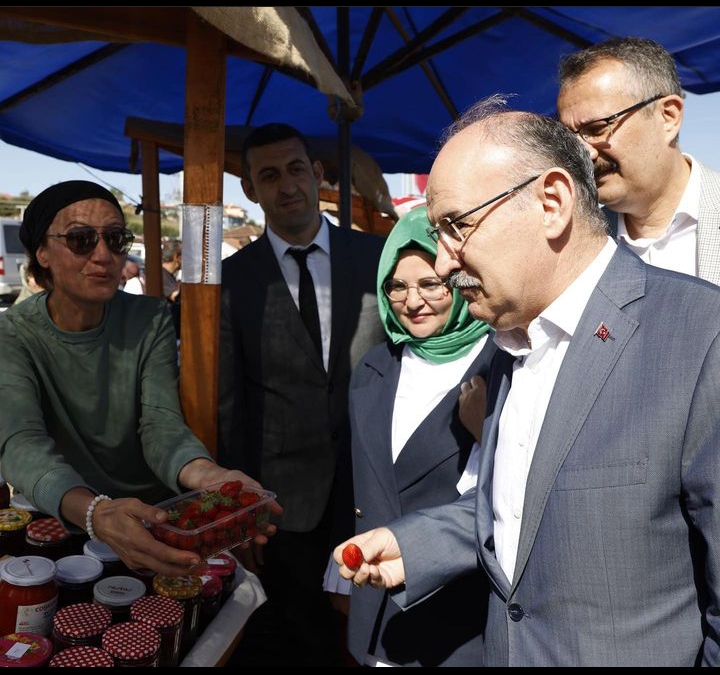 WhatsApp Image 2025-05-16 at 15.33.44.jpeg