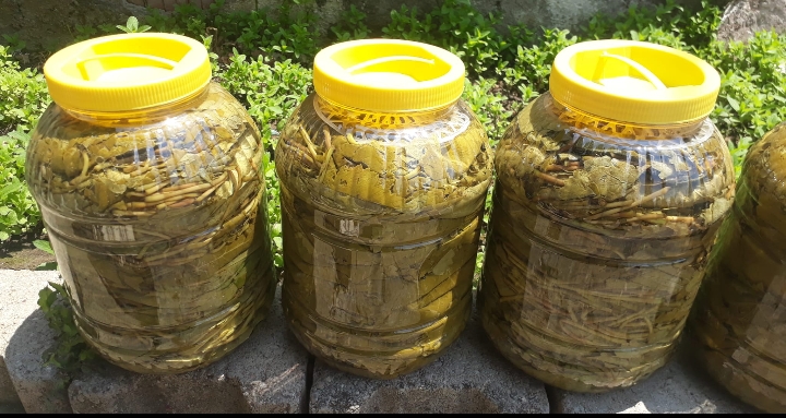 WhatsApp Image 2025-05-16 at 15.34.11.jpeg