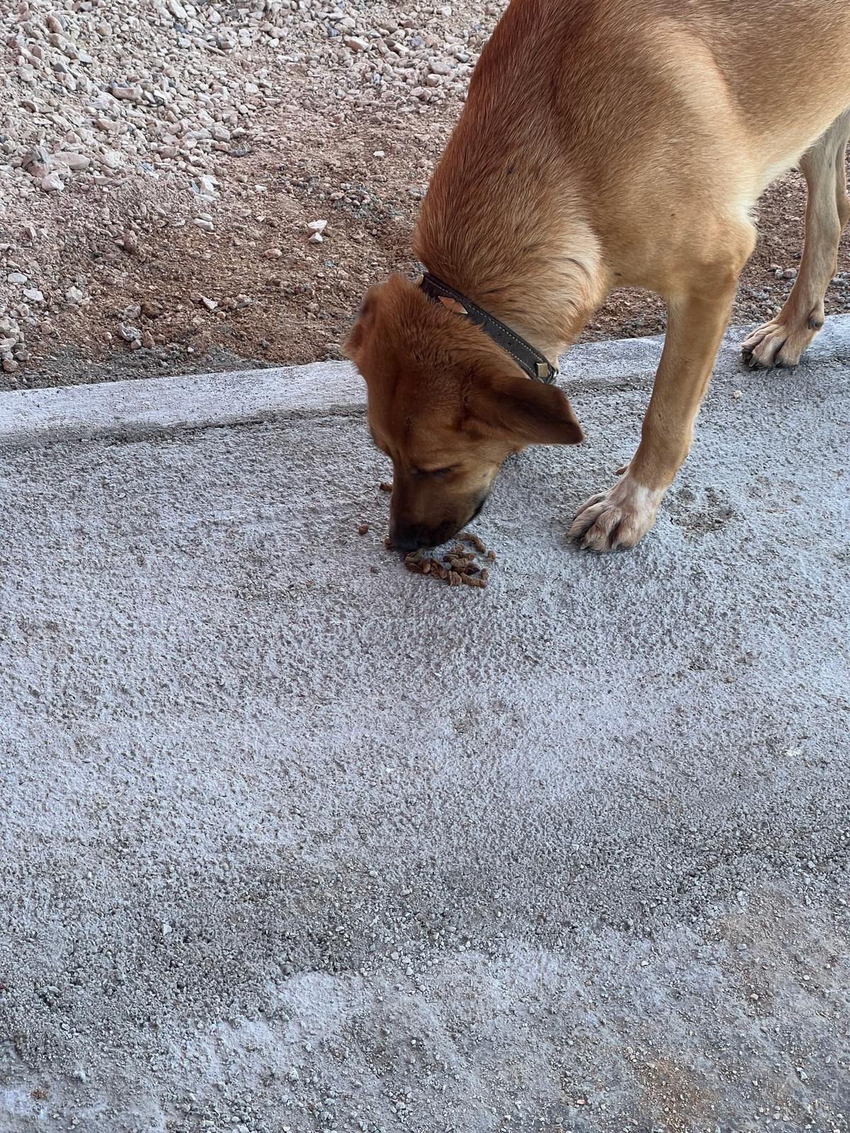 Mama &Uuml;RT. 4.jpeg