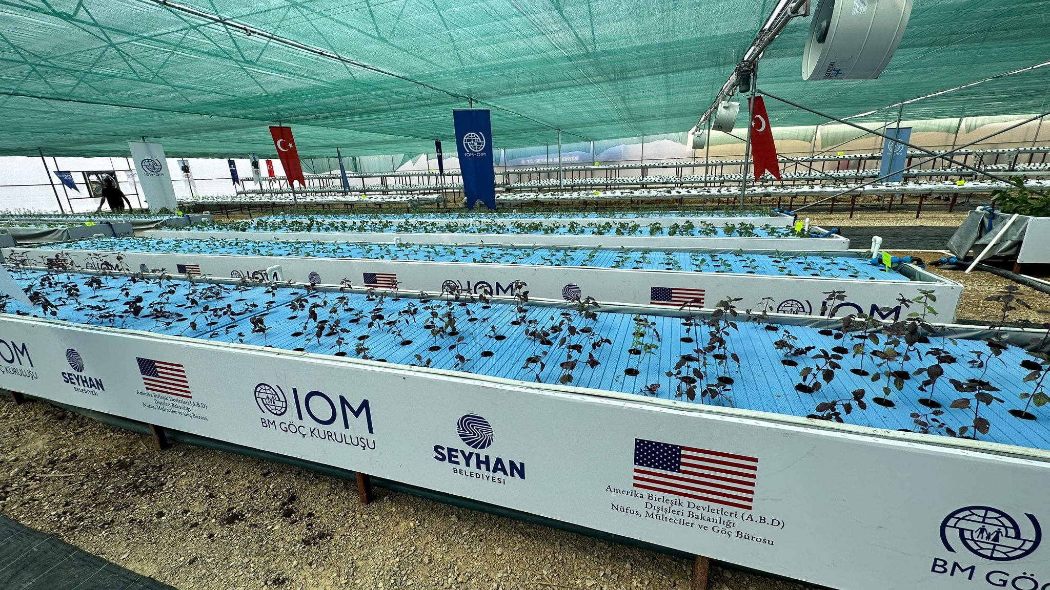 Yenilik&ccedil;i Tar&igrave;m Uygul&fnof;amalar&igrave; Seras&igrave;-1.jpeg