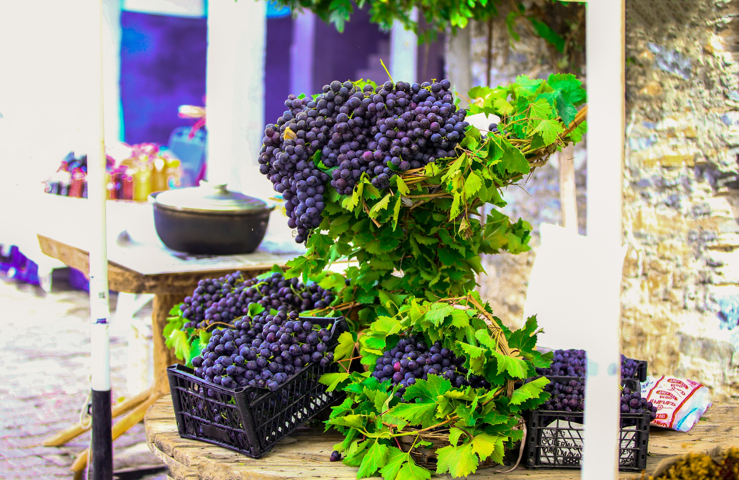 Kavacık k&ouml;y&uuml; fotoğrafları (20).jpeg