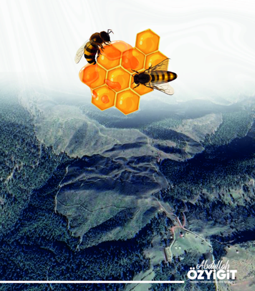 BEE PASTURE PROJECT.png